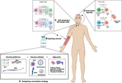 Making a Cold Tumor Hot: The Role of Vaccines in the Treatment of Glioblastoma